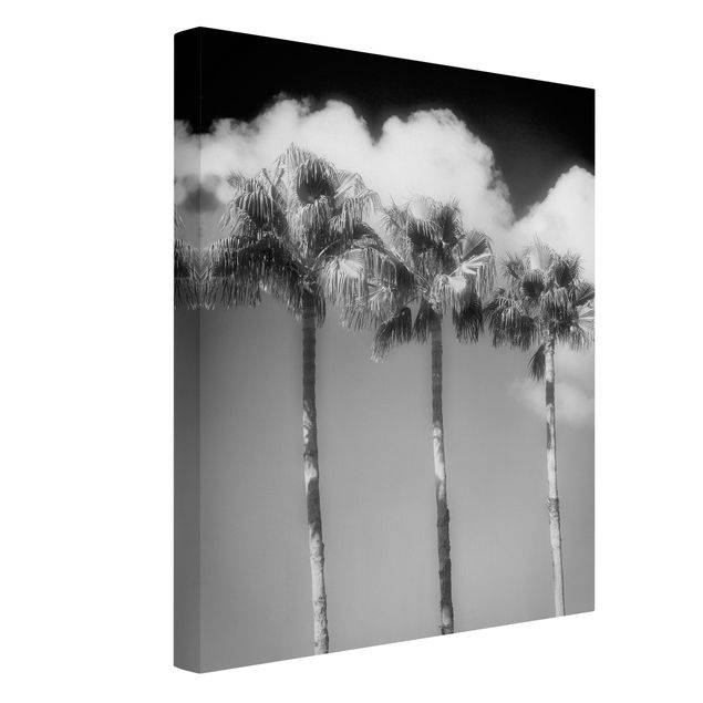 Billeder på lærred sort og hvid Palm Trees Against The Sky Black And White
