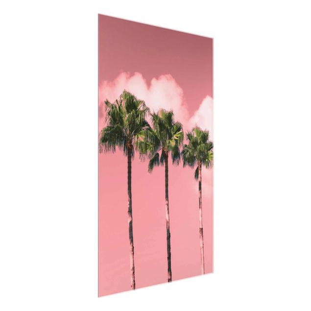 Glasbilleder blomster Palm Trees Against Sky Pink