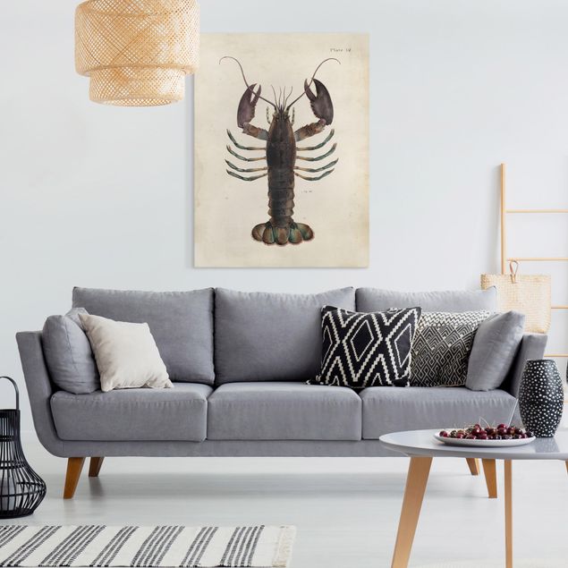 Billeder på lærred dyr Vintage Illustration Lobster