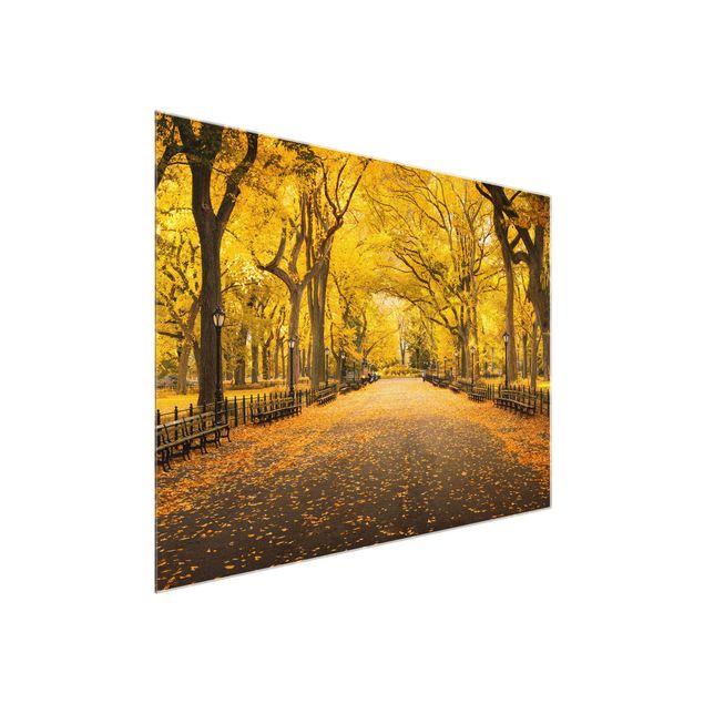 Glasbilleder arkitektur og skyline Autumn In Central Park
