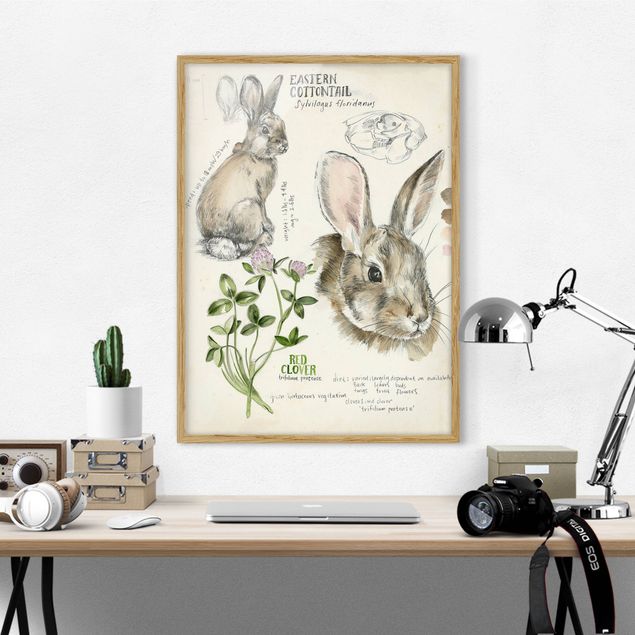 Indrammede plakater blomster Wilderness Journal - Rabbit