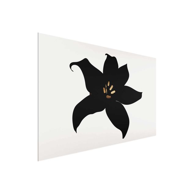 Billeder fisk Graphical Plant World - Orchid Black And Gold