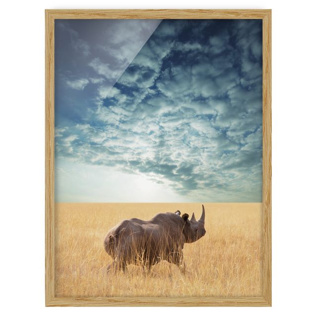 Indrammede plakater dyr Rhino In The Savannah