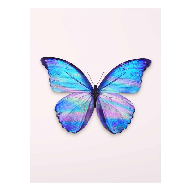 Glasbilleder dyr Holographic Butterfly