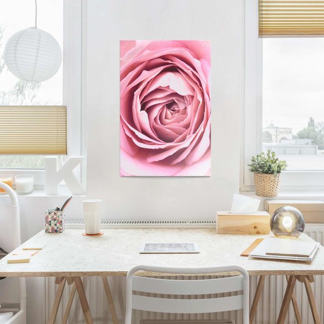 Glasbilleder roser Pink Rose Blossom