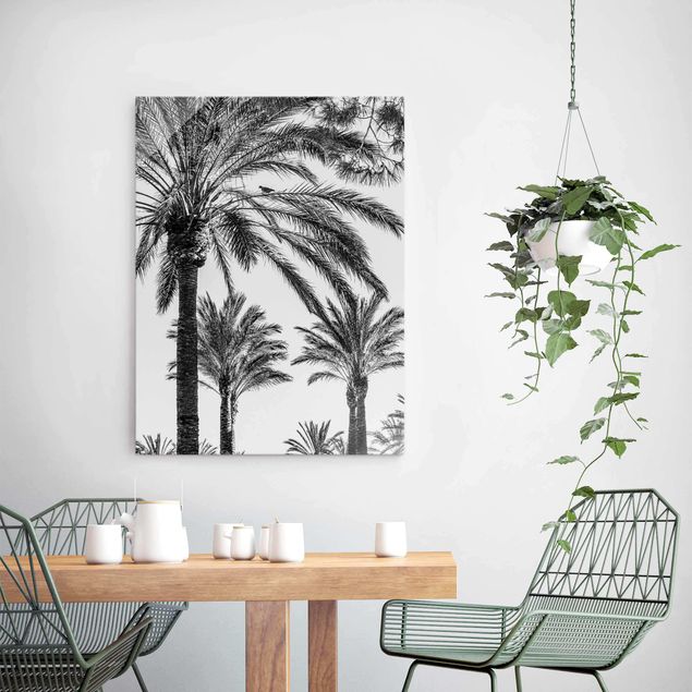 Glasbilleder solnedgange Palm Trees At Sunset Black And White