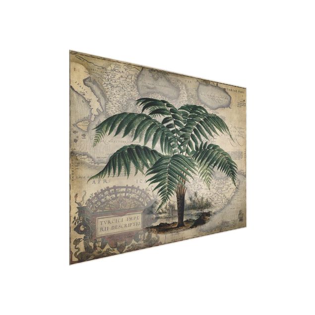 Glasbilleder blomster Vintage Collage - Palm And World Map