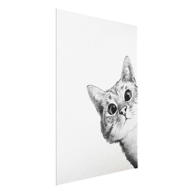 Billeder katte Illustration Cat Drawing Black And White