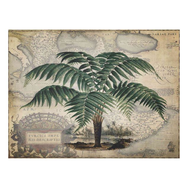 Billeder blomster Vintage Collage - Palm And World Map
