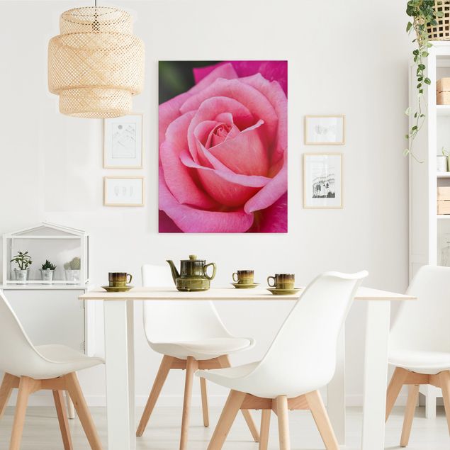 Billeder på lærred blomster Pink Rose Flowers Green Backdrop