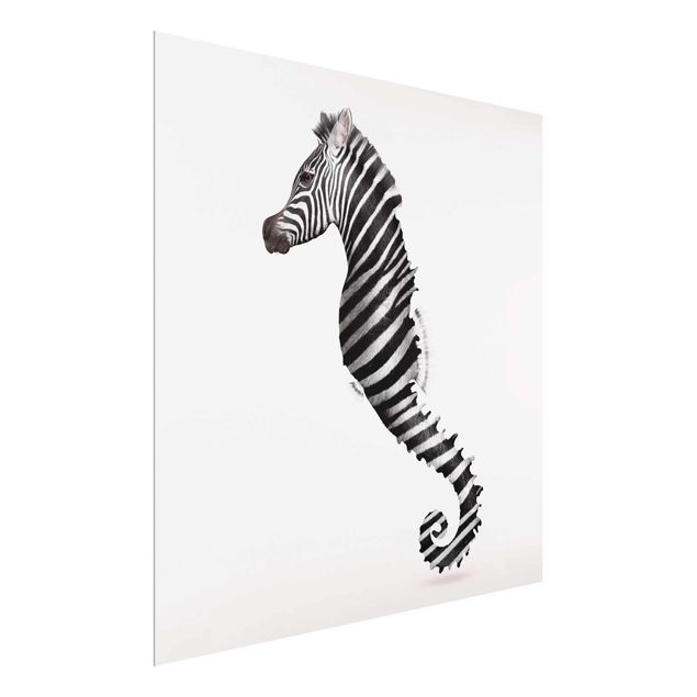 Billeder heste Seahorse With Zebra Stripes