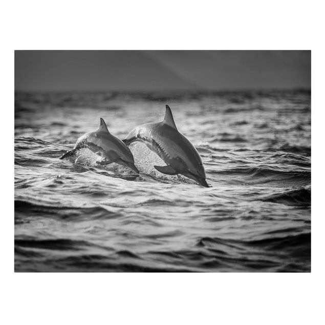 Billeder på lærred dyr Two Jumping Dolphins