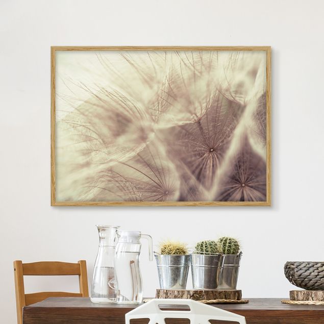 køkken dekorationer Detailed Dandelion Macro Shot With Vintage Blur Effect