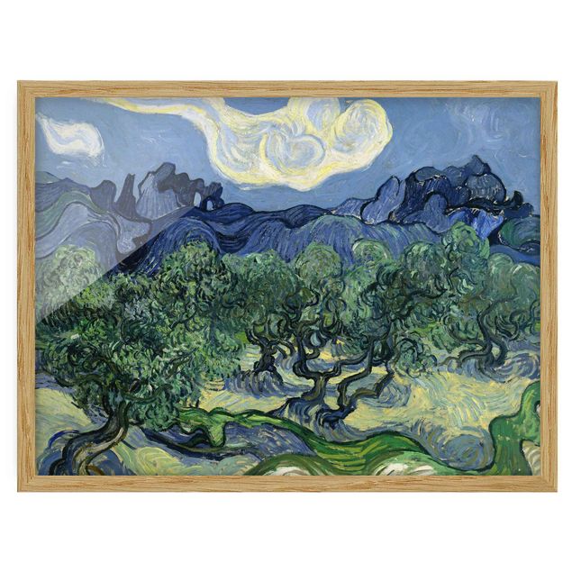 Kunst stilarter post impressionisme Vincent Van Gogh - Olive Trees