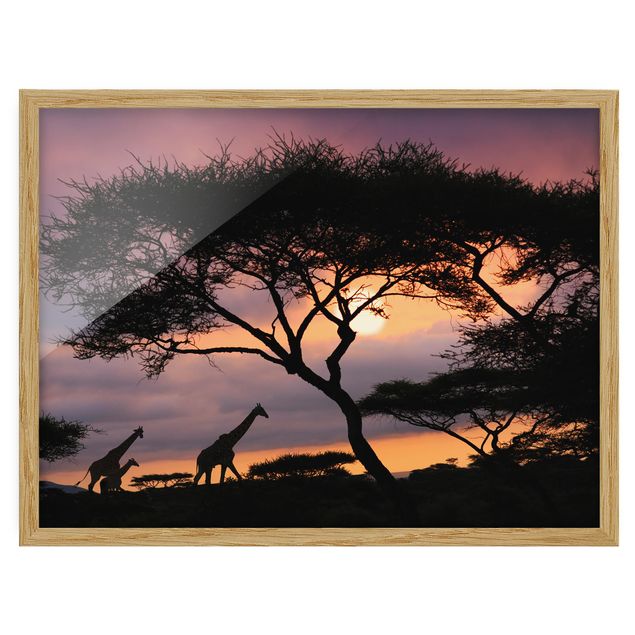 Indrammede plakater landskaber African Safari