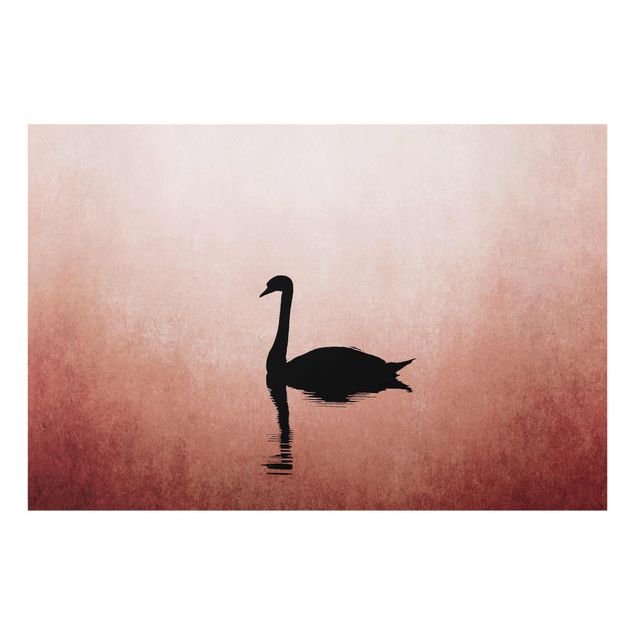 Glasbilleder dyr Swan In Sunset