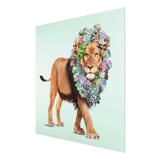 Billeder blomster Lion With Succulents