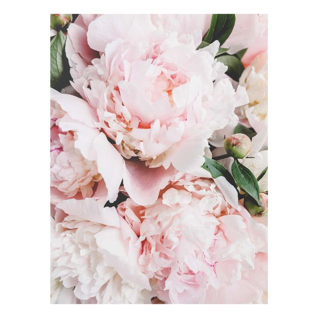 Billeder blomster Peonies Light Pink