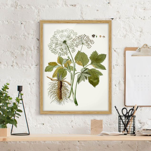 Indrammede plakater blomster Wild Herbs Board IV