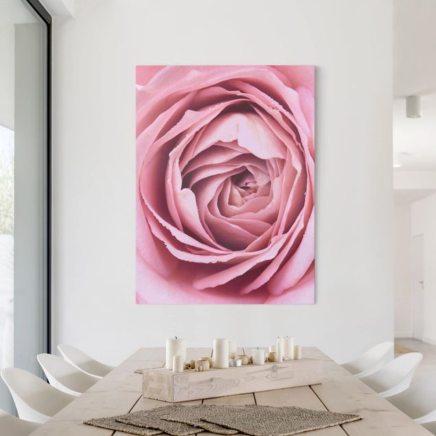 Billeder på lærred roser Pink Rose Blossom