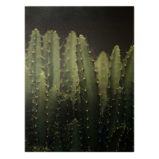 Billeder på lærred guld Desert Cactus At Night