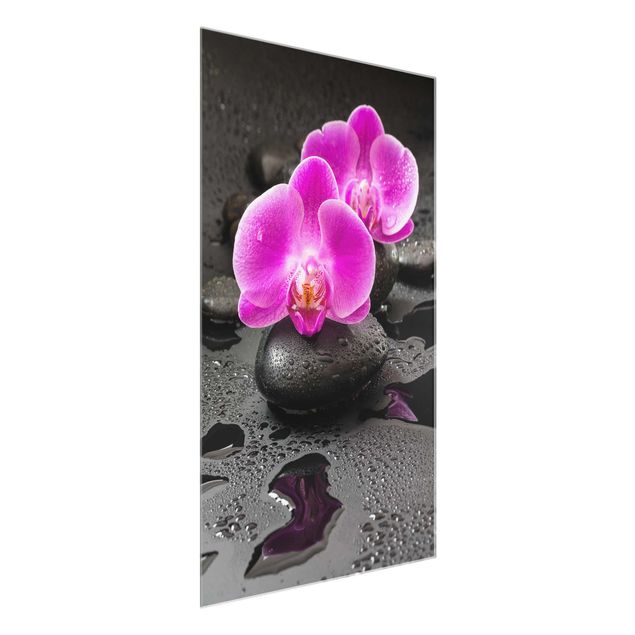Glasbilleder blomster Pink Orchid Flower On Stones With Drops