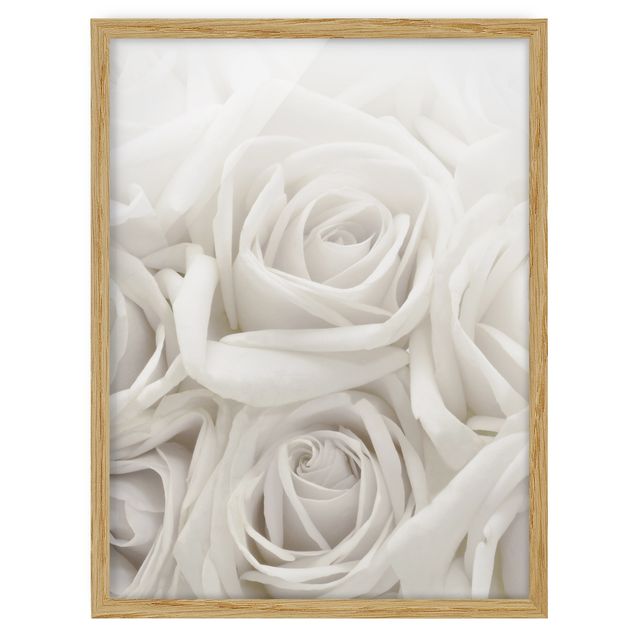 Billeder blomster White Roses