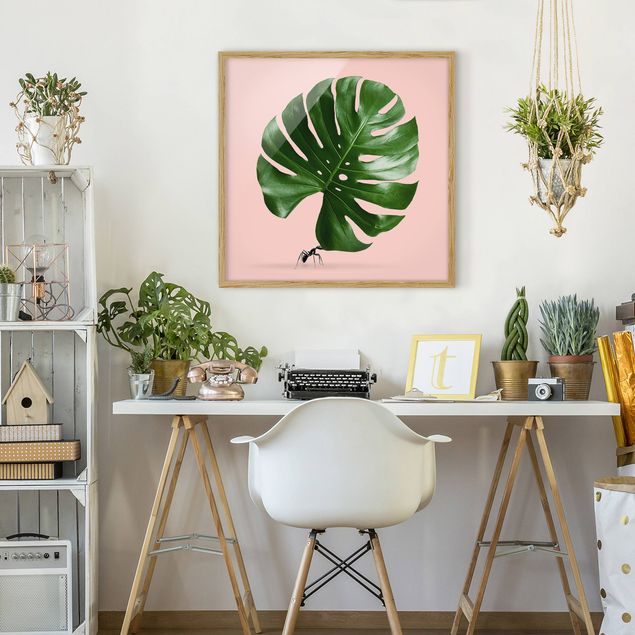Indrammede plakater blomster Ant With Monstera Leaf