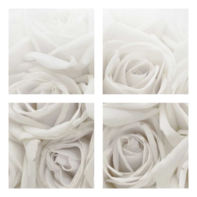 Billeder bjerge White Roses