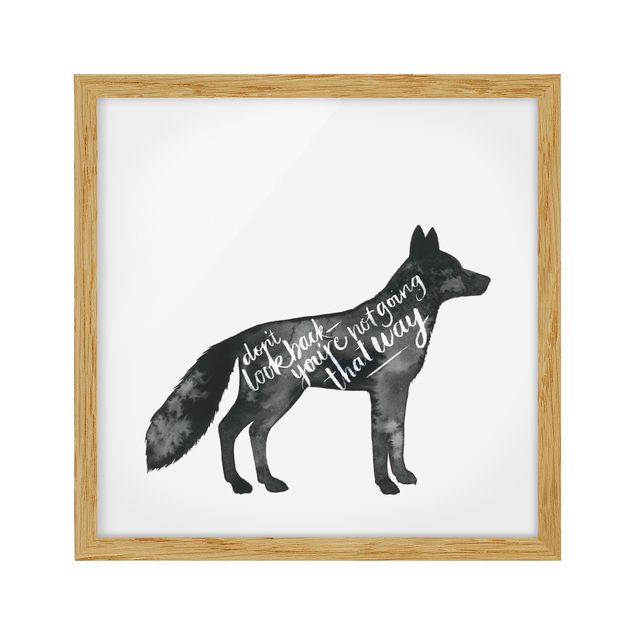 Billeder ordsprog Animals With Wisdom - Fox
