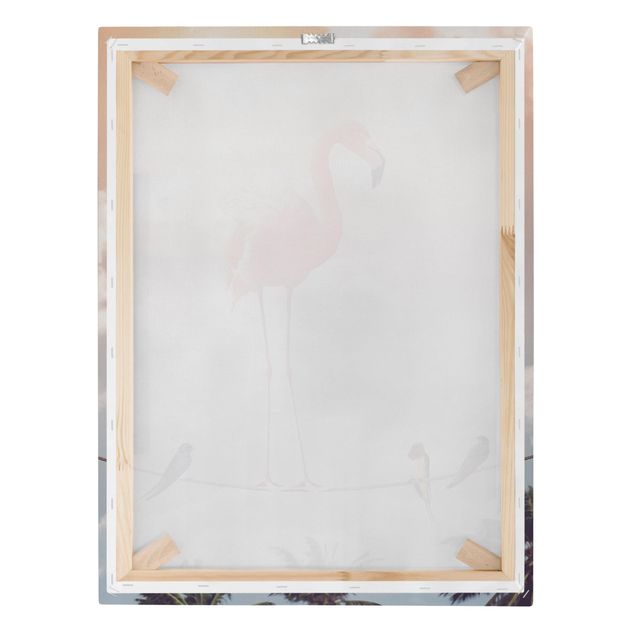 Billeder lyserød Sky With Flamingo