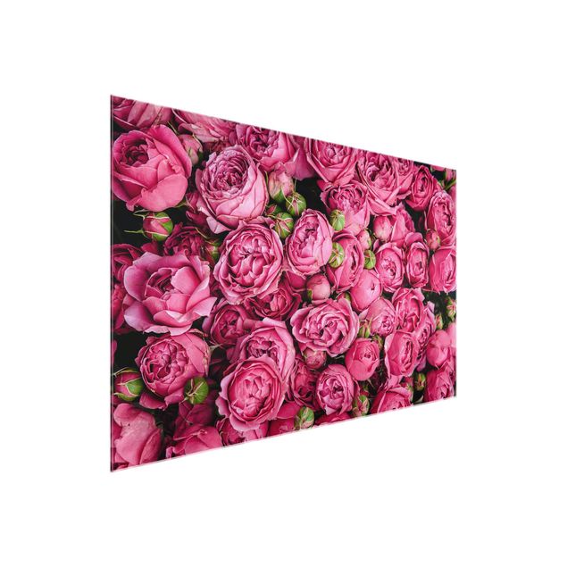 Glasbilleder blomster Pink Peonies