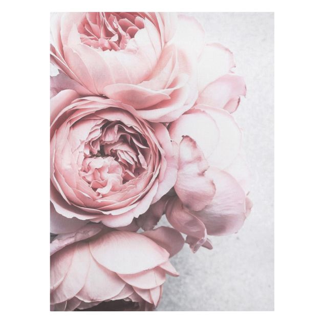 Billeder blomster Light Pink Peony Flowers Shabby Pastel