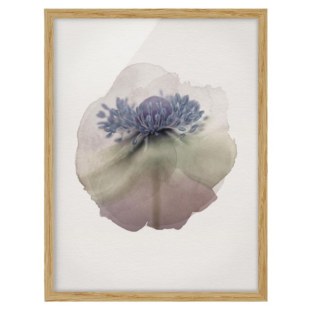Billeder blomster WaterColours - Anemone In Violet