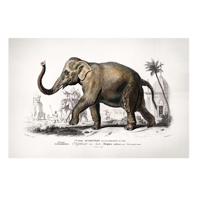Billeder på lærred landskaber Vintage Board Elephant