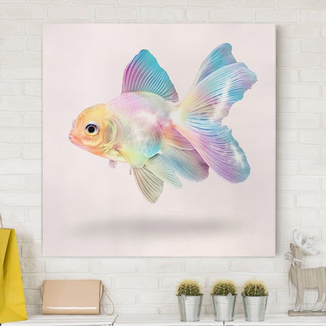 Billeder på lærred fisk Fish In Pastel