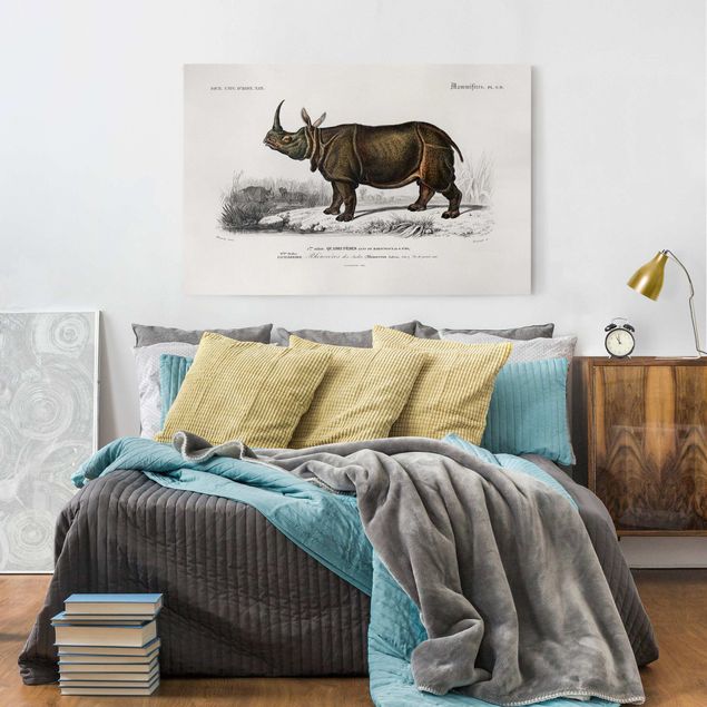 Billeder landskaber Vintage Board Rhino
