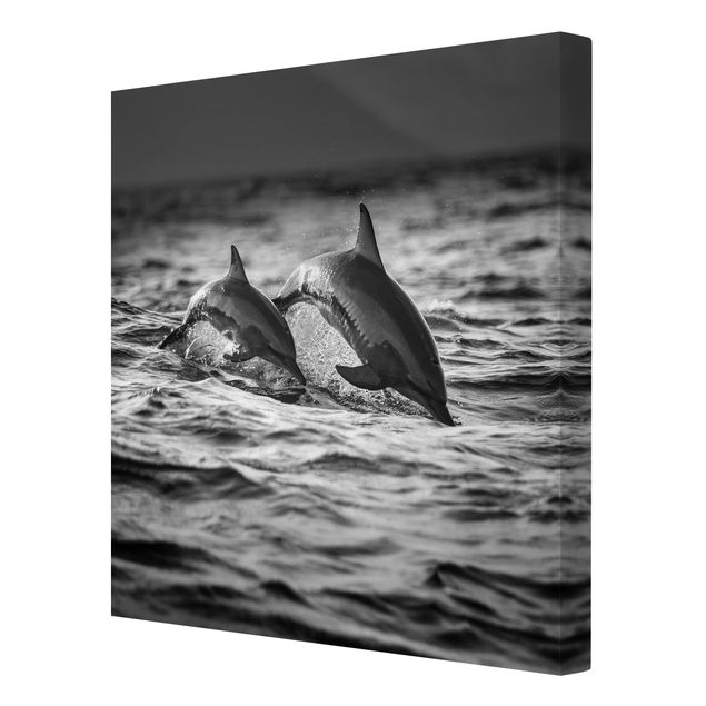 Billeder moderne Two Jumping Dolphins