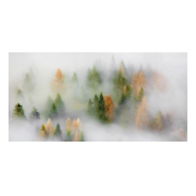 Billeder på lærred skove Cloud Forest In Autumn