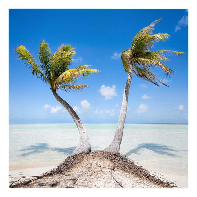 Billeder strande Beneath Palm Trees
