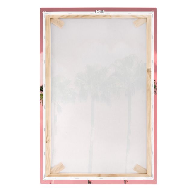 Billeder Palm Trees Against Sky Pink