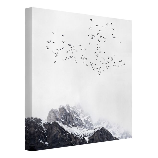 Billeder bjerge Flock Of Birds In Front Of Mountains Black And White