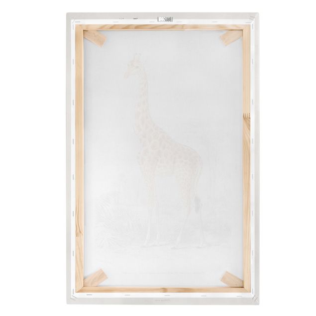 Billeder gul Vintage Board Giraffe