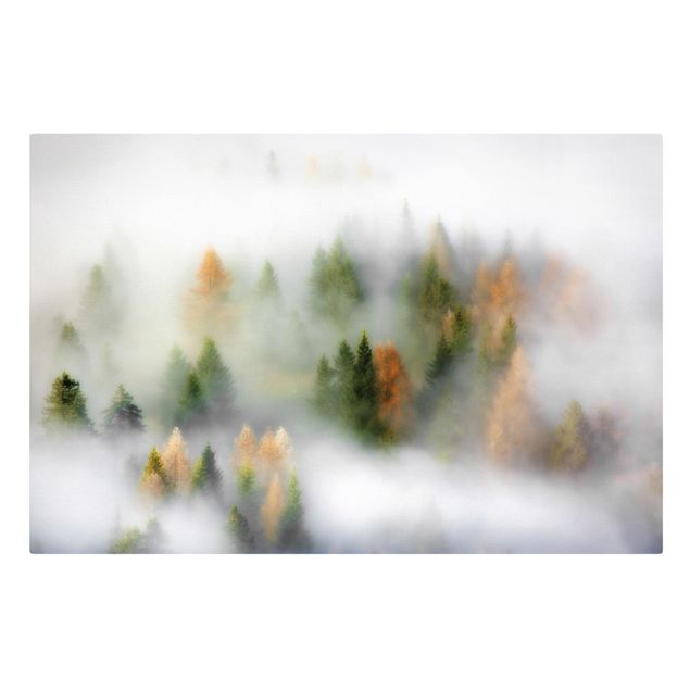 Billeder på lærred skove Cloud Forest In Autumn