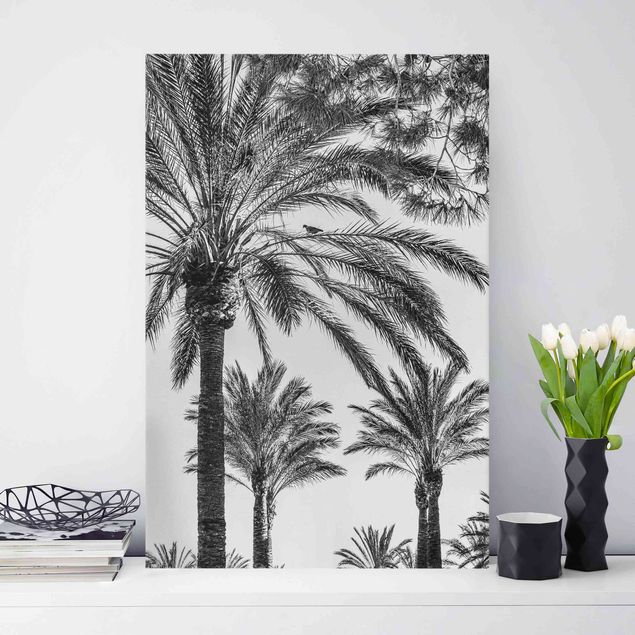køkken dekorationer Palm Trees At Sunset Black And White