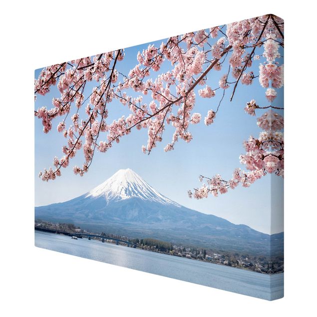 Billeder landskaber Cherry Blossoms With Mt. Fuji