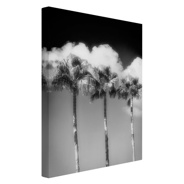 Billeder på lærred sort og hvid Palm Trees Against The Sky Black And White