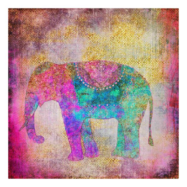 Billeder på lærred spirituelt Colourful Collage - Indian Elephant