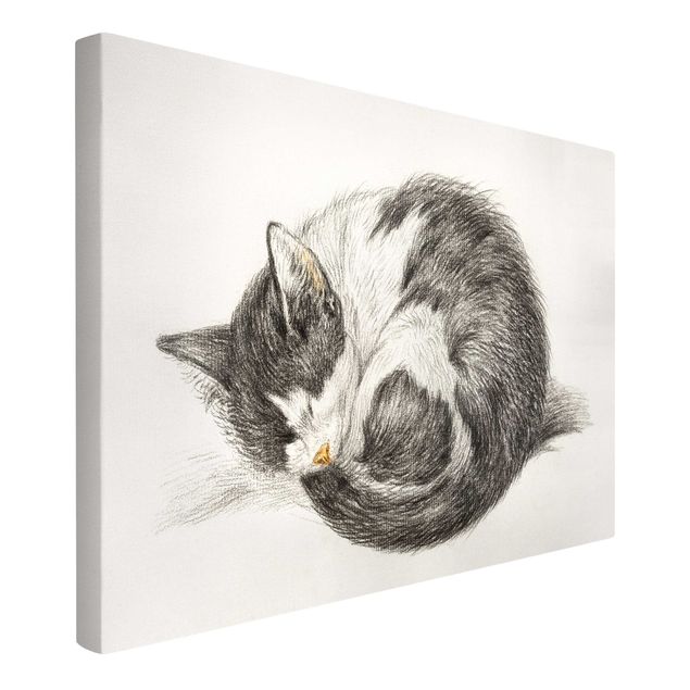 Billeder på lærred sort og hvid Vintage Drawing Cat II