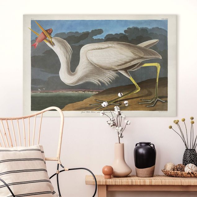 Billeder på lærred fisk Vintage Board Great White Egret